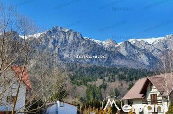 Teren Intravilan de vanzare BUSTENI - Prahova anunturi imobiliare Prahova
