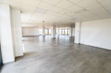Spațiu industrial de inchiriat AEROPORT - Dolj anunturi imobiliare Dolj