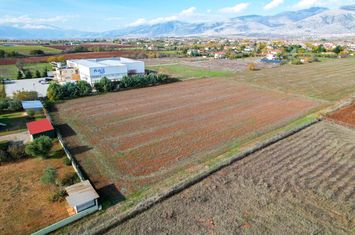 Teren construibil 7425 mp în Nea Kromni anunturi imobiliare Grecia