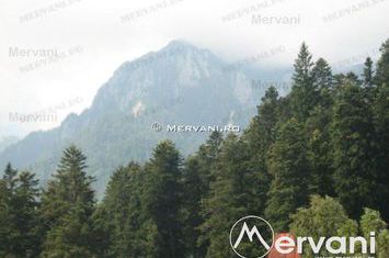 Casă - 4 camere de vanzare POIANA TAPULUI - Prahova anunturi imobiliare Prahova