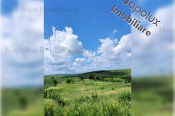 Teren Intravilan de vanzare DEZMIR - Cluj anunturi imobiliare Cluj