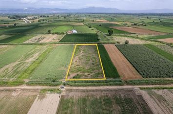 Loturi agricole 28.307 mp în Monastiraki (pachet) anunturi imobiliare Grecia