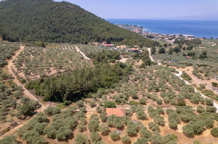 Teren 1800 mp în Skala Rachoniou, Thassos anunturi imobiliare Grecia