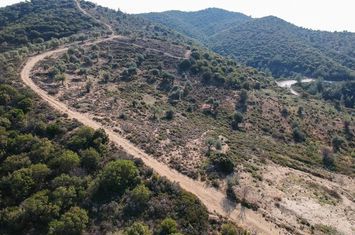 Teren construibil 6950 mp în Skala Marion, Thassos anunturi imobiliare Grecia