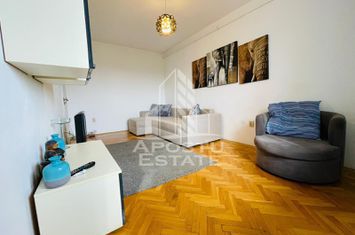 Apartament cu o cameră de închiriat – zonă centrală, vedere la Mureș anunturi imobiliare Arad