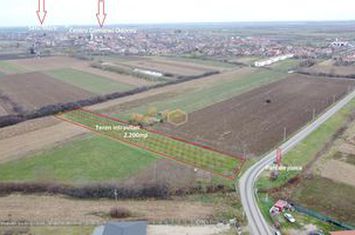 Teren Intravilan de vanzare ODOREU - Satu Mare anunturi imobiliare Satu Mare