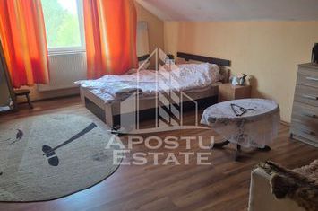 Vila D+P+1E in Lipovei … poziție foarte buna anunturi imobiliare Timis