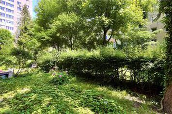 Apartament 3 camere de vanzare ASTRA - Brasov anunturi imobiliare Brasov