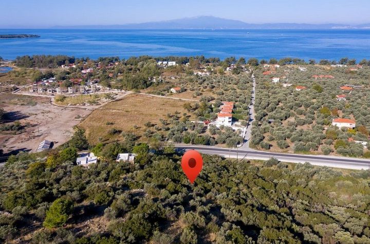 Teren construibil 6951,13 mp în Skala Rachoniou anunturi imobiliare Grecia