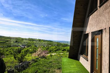 Casă - 3 camere de vanzare TOMESTI - Iasi anunturi imobiliare Iasi