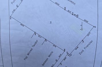 Teren Intravilan,5.000mp cu utilităti si proiect casă 12e mp anunturi imobiliare Mures