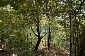 Teren intravilan cu deschidere la lacul Tarnița anunturi imobiliare Cluj