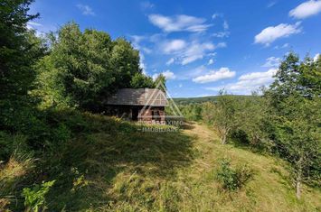 Casa,anexe si14.328 mp teren partial intravilan, com. Bulz, jud. Bihor anunturi imobiliare Bihor
