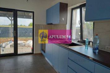 Săbăreni, casă nouă, 3 camere, 2 băi, terasă, CT, pivniță anunturi imobiliare Giurgiu