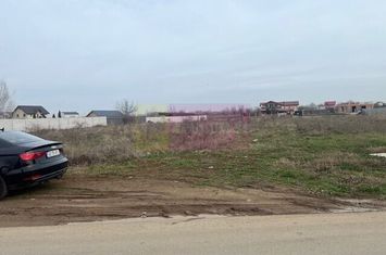 Teren Domnesti- Drumul Targului. anunturi imobiliare Bucuresti