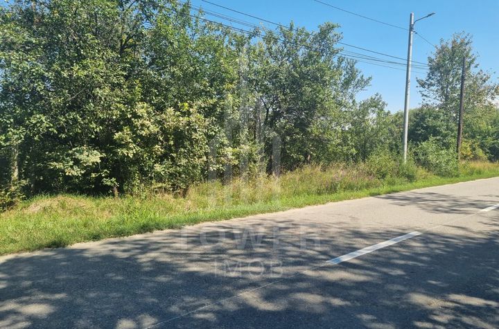 EXCLUSIVITATE! Teren la șoseaua principală | Tocile anunturi imobiliare Sibiu