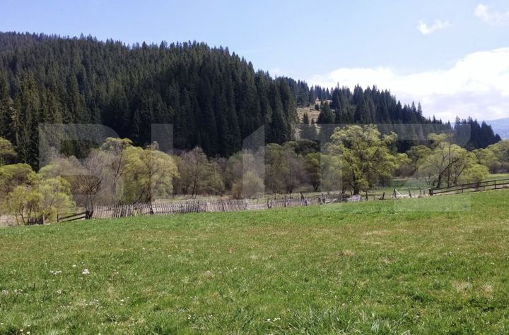 Teren de vanzare SUCEAVA - Suceava anunturi imobiliare Suceava
