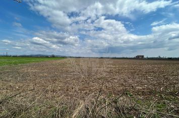 TEREN INTRAVILAN\\ZONA SPITALUL JUDETEAN PLOIESTI anunturi imobiliare Prahova