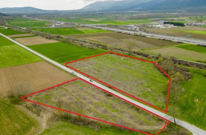 Terenuri 20.000 mp cu nuci în Moustheni/Mesoropi anunturi imobiliare Grecia