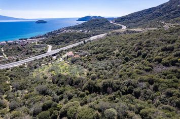 Teren agricol 4.699 mp în Palio, Kavala anunturi imobiliare Grecia