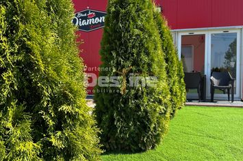 Spațiu comercial de vanzare CALARASI - Calarasi anunturi imobiliare Calarasi