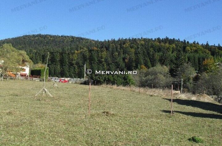 Teren de vânzare în Bușteni - Zona Piatra Arsă anunturi imobiliare Prahova