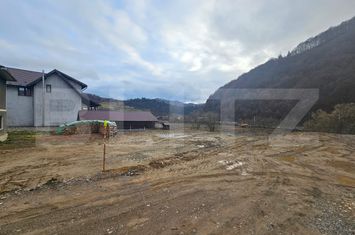 Casă - 3 camere de vanzare MIHOESTI - Alba anunturi imobiliare Alba