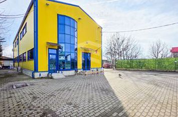 Spațiu industrial–afacere catering la cheie, teren&hală 750 mp S+P+1E anunturi imobiliare Bucuresti