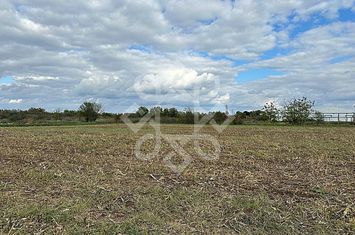 Teren industrial de vanzare in Santandrei anunturi imobiliare Bihor