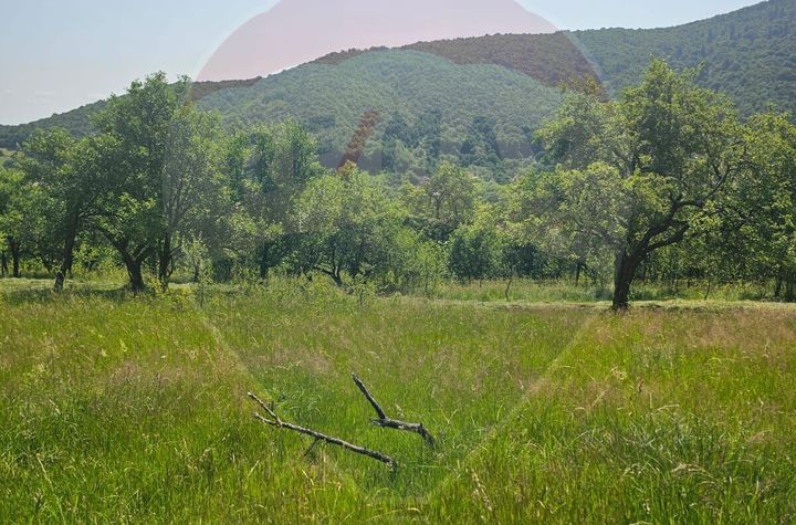 Teren   intravilan  1,310mp Fantanele / Sibiu anunturi imobiliare Sibiu
