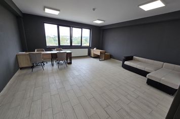 Birou 40 mp .parcare si utilităti incluse in pret anunturi imobiliare Mures