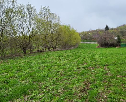 Teren Sebesu de Sus, 1800 mp