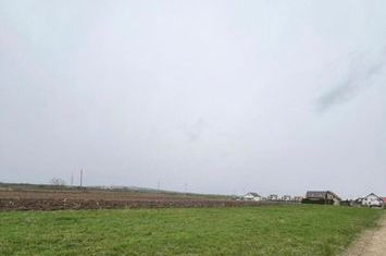 Teren de vanzare RADAUTI - Suceava anunturi imobiliare Suceava