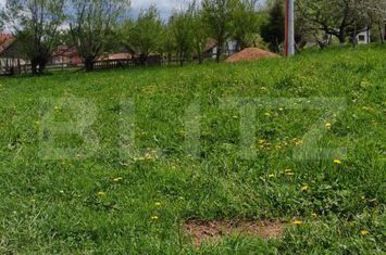 Teren de vanzare MOIECIU DE JOS - Brasov anunturi imobiliare Brasov