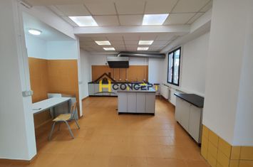 De inchiriat imobil spatios pentru firme - Theodor Pallady anunturi imobiliare Bucuresti