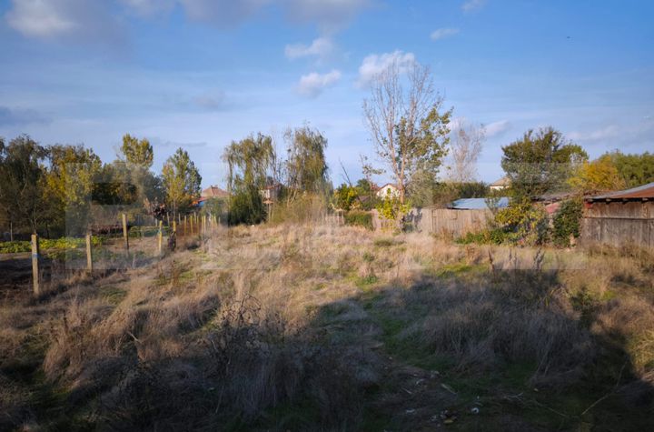 Teren de vanzare CERNELE - Dolj anunturi imobiliare Dolj