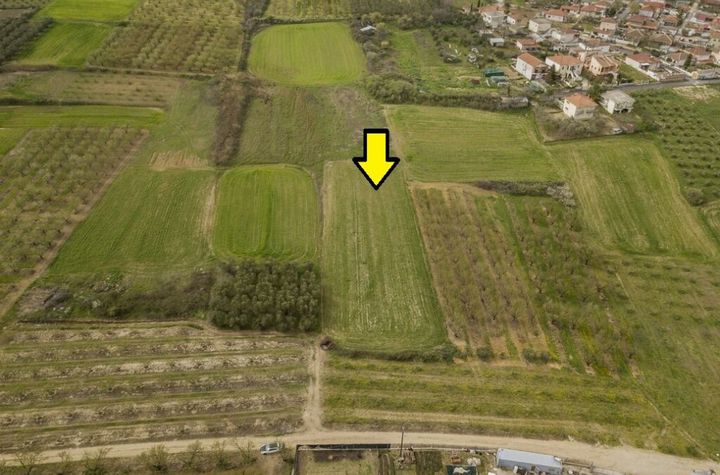 Teren construibil 5.000 mp în Mesolakia, Serres anunturi imobiliare Grecia