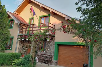 Casă - 15 camere de vanzare SALISTE DE BEIUS - Bihor anunturi imobiliare Bihor