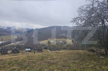 Teren de vanzare DAROAIA - Alba anunturi imobiliare Alba