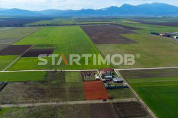Teren intravilan Harman anunturi imobiliare Brasov