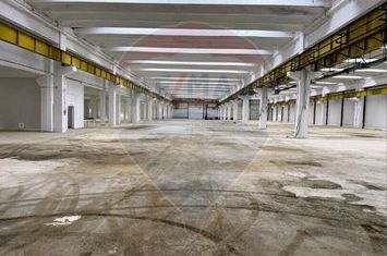 Hală producție/logistică cu poduri rulante-zona Avrig-Inchiriere anunturi imobiliare Sibiu
