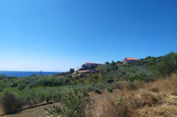 Teren construibil 4987 mp în Folia, 300 m de mare anunturi imobiliare Grecia