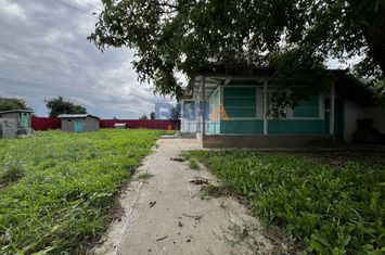 Casă cu 3500 mp teren, Sat Miron Costin - Brănișteni (str. Macilor) anunturi imobiliare Neamt