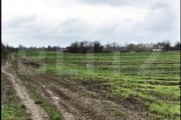 Teren de vanzare TITU - Dambovita anunturi imobiliare Dambovita
