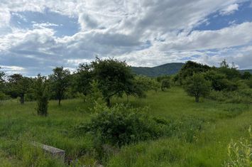 Teren de vanzare SIBIEL - Sibiu anunturi imobiliare Sibiu