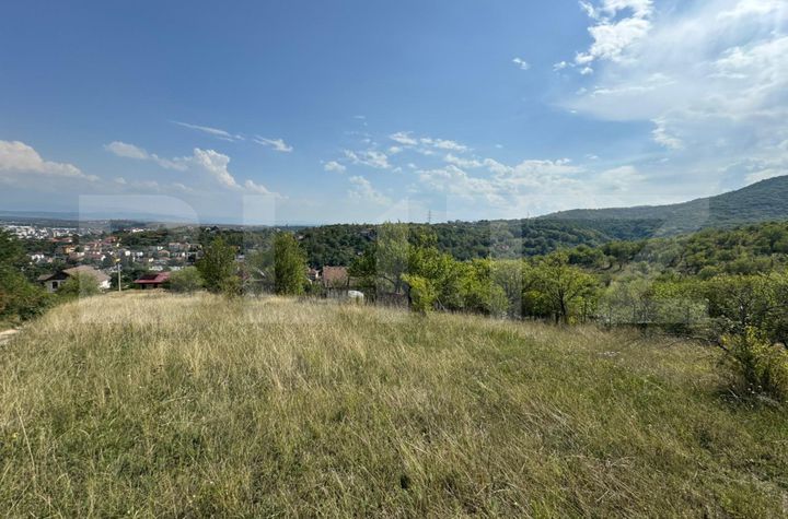 Teren de vanzare DEVA - Hunedoara anunturi imobiliare Hunedoara
