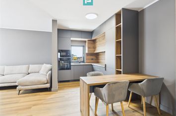 Penthouse de lux în Dumbrăvița anunturi imobiliare Timis