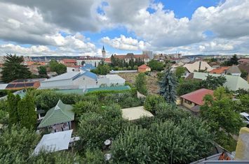 Birou de inchiriat CENTRAL - Mures anunturi imobiliare Mures
