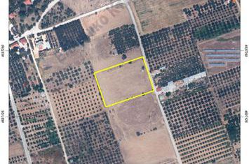 Teren construibil 6.522 mp în Petropigi anunturi imobiliare Grecia