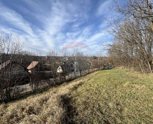 Teren Intravilan Badeni, 10000 mp